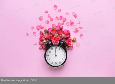 Красивые свежие цветы и часы на цветном фоне :: Стоковая фотография ::  Pixel-Shot Studio