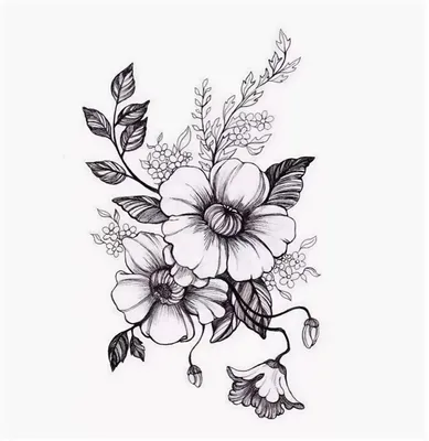 Рисунок черно белый цветок - 81 фото