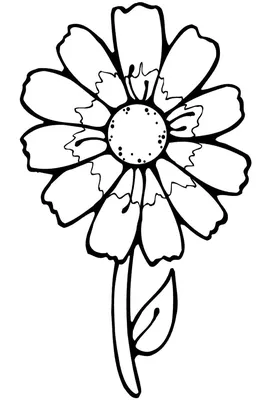 Цветок маленький цветок раскраска Черно белые раскраски цветов