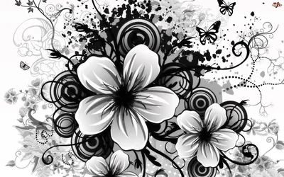 Красивые цветы черно белые картинки - 80 фото