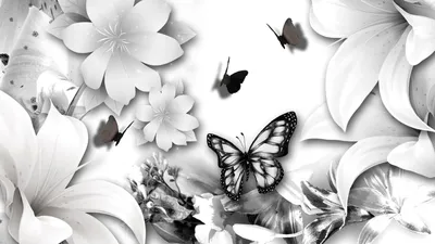 Черно белый цветок - 58 фото
