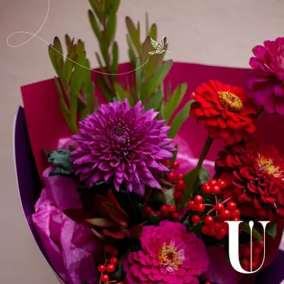 Цинии в саду - заказать цветы с доставкой в Санкт-Петербурге недорого -  UFLOR. Арт.: 2364111