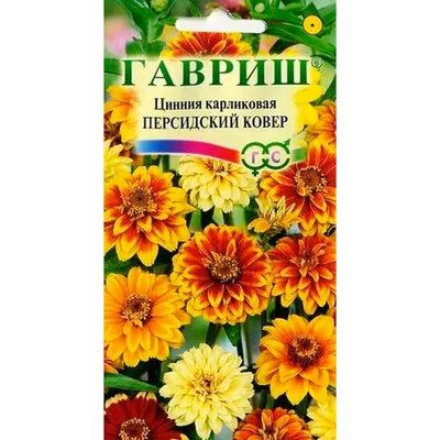 Купить Цинния Персидский ковер 0,3гр F0000002977 за 24руб. |Garden-zoo.ru