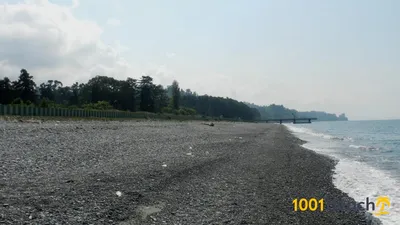 Пляж Чакви (Chakvi)