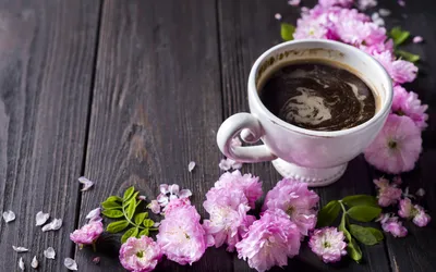 Скачать обои цветы, розовые, wood, pink, blossom, flowers, coffee cup, чашка  кофе, раздел цветы в разрешении 1680x1050