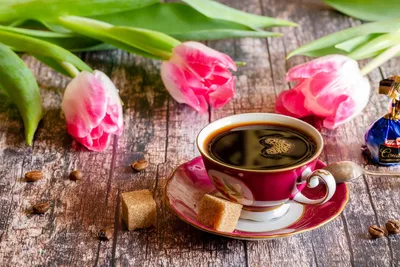Фотография Чашка кофе и тюльпаны из раздела натюрморт #7161239 - фото.сайт  - sight.photo