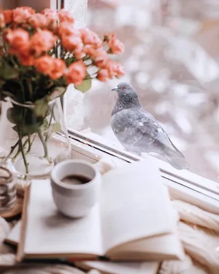 Фото Чашка кофе на книге и букет цветов в вазе на подоконнике окна, за  стеклом которого виден голубь