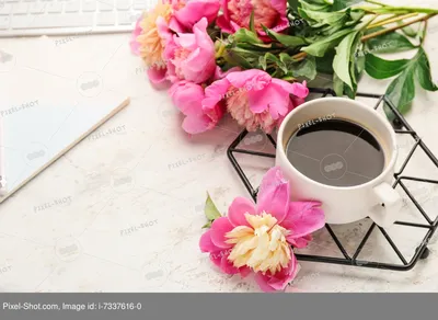 Красивые цветы пиона и чашка кофе на светлом фоне :: Стоковая фотография ::  Pixel-Shot Studio