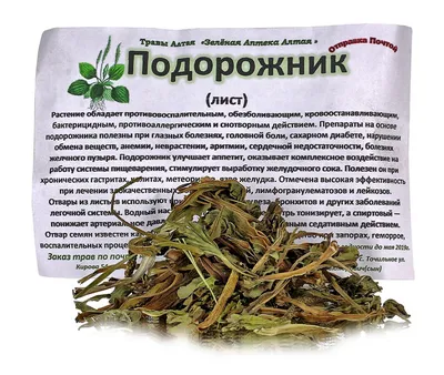 Полынь трава сушеная травяной сбор от глистов чай фиточай 50 гр — купить в  интернет-магазине OZON с быстрой доставкой