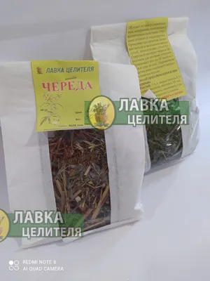 Купить Череда трехраздельная трава (Bidens tripartita) 100г, цена 100 ₴ —  Prom.ua (ID#838451437)