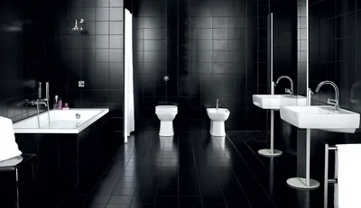 Черная ванная комната купить по доступной цене в интернет магазине Империя  сантехники +7(495)150-56-12