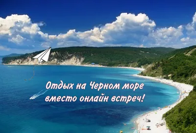 Отдых на Черном море вместо онлайн встреч! — ЯСИА
