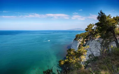 Любителям поплескаться: интересные факты о Черном море. | WOWFact | Дзен