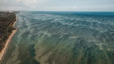 Из космоса показали, как \"цветет\" Черное море: какие курорты имеют самую  грязную воду (Видео) - Телеграф