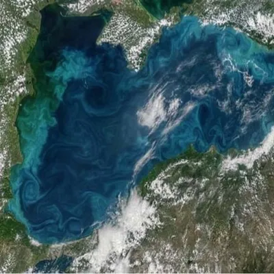 НАСА: Черное море стало бирюзовым - KP.RU