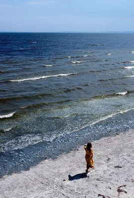 Информация о вырытых на пляже в Крыму окопах оказалась недостоверной:  Фактчекинг: Интернет и СМИ: Lenta.ru