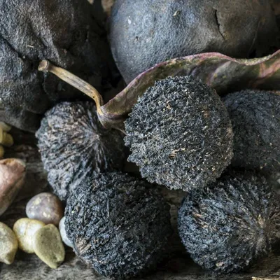 Орех чёрный, морозостойкий, съедобный, лекарственный, ценная древесина  семена купить недорого