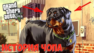 История Чопа из GTA 5 - YouTube