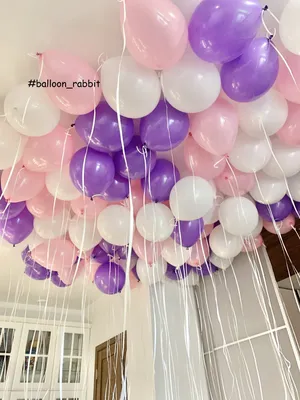 Купить Воздушные шары на потолок 50 шт - Гелиевые шары в Новосибирске -  BALLOON RABBIT