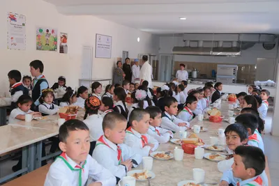 Правила организации и работы школьной столовой | Программа школьного  питания в Таджикистане