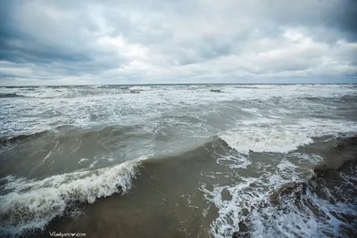Балтийское море. Шторм и штиль. | Фотограф Владимир Лукьянов Москва