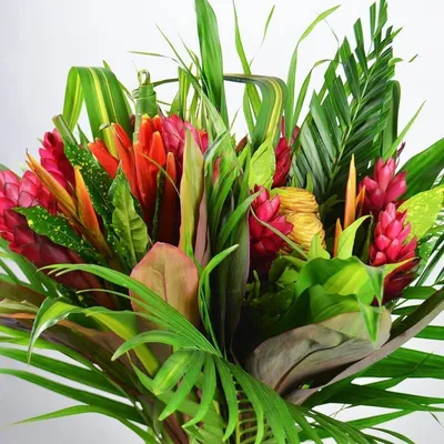 Экзотический букет с тропическими цветами из джунглей купить с доставкой в  СПб