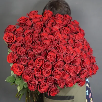 А) 101 Роза \"Эксплорер\" 70 см (Эквадор) (Премиум) и скидки в интернет  магазине цветов Роз Новоросс