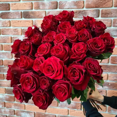 Эквадорская роза 70 см Explorer - купить за 242 ₽ с доставкой по Москве и  МО | FlowerFeast
