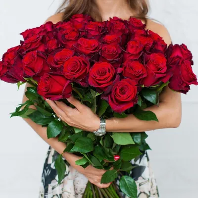 51 красная роза Explorer 70 см купить недорого в СПб Цветариус