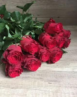 Розы Эксплорер | Купить с доставкой по низкой стоимости в ЛНР Доставка  цветов #1 в Луганске