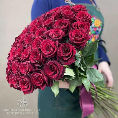 Букет 51 роз Эксплорер купить за 14 120 руб. с круглосуточной доставкой по  Москве | Мосцветторг