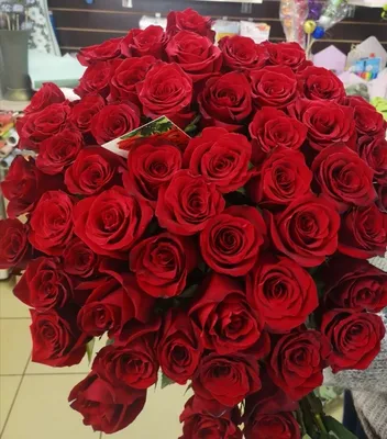 Эквадорские розы сорт Explorer 70 см. (11, 13, 15...шт.) доставка в  Ярославле | ВашБукет76