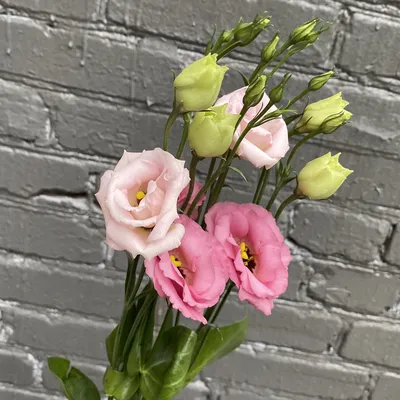 красивые цветочная композиция, пинк и красная роза, розовый Eustoma, желтая  хризантема Стоковое Фото - изображение насчитывающей торжество, зеркало:  101966214