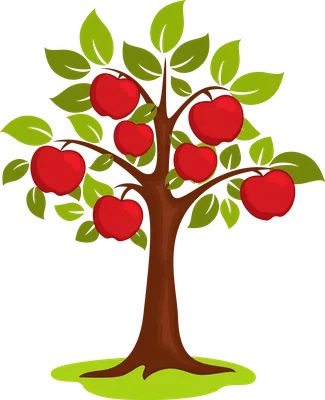 Дерево яблоня рисунок - 64 фото