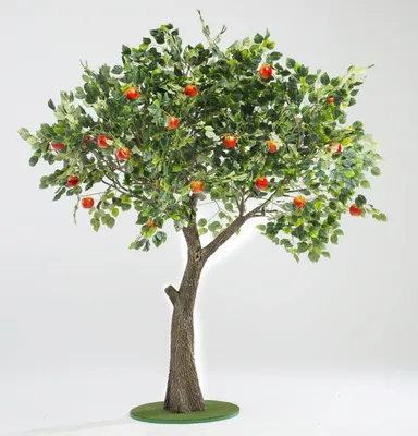 Дерево в аренду \"Яблоня с плодами\" 2,5 м.