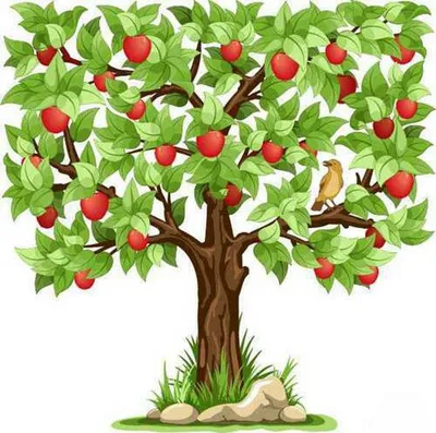 Дерево с яблоками рисунок - 61 фото