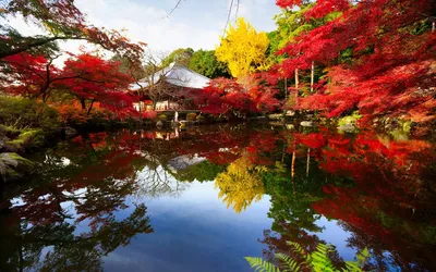 Красивая осень в Японии - 53 фото