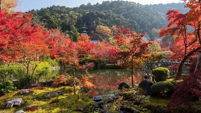 Япония осенью - 50 фото