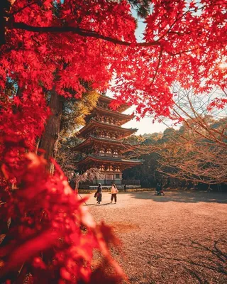 Природа Японии (58 фото) - 58 фото