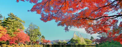 Осень в Японии | Путеводитель