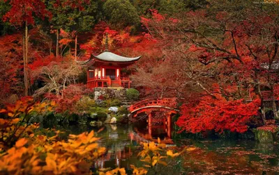 Экономичный тур в Японию \"Осень\" | Купить тур в Японию 2020 из Москвы и  СПБ: цены на туры в Токио, Киото, на Окинаву, Хоккайдо, цветение сакуры,  клены. Отдых и экскурсии в Японии,