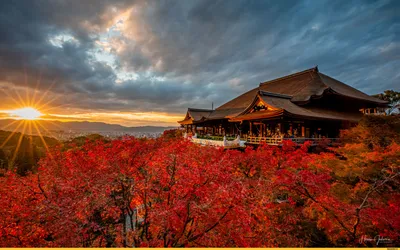 Восходящее солнце и уходящая осень в Киото. / Япония :: красивое фото ::  страны / смешные картинки и другие приколы: комиксы, гиф анимация, видео,  лучший интеллектуальный юмор.