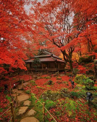 Осень в Японии - фото и картинки: 56 штук