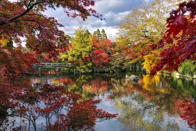 Осенняя прозрачность\": 7 причин посетить Японию в ноябре