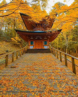 Осень в Японии - фото и картинки: 56 штук