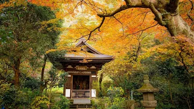 Картина на холсте 60x100 LinxOne \"Киото Япония Осень деревьев\" интерьер для  дома / декор на стену / дизайн — купить в интернет-магазине по низкой цене  на Яндекс Маркете