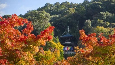 Киото: осень в старой столице | Nippon.com