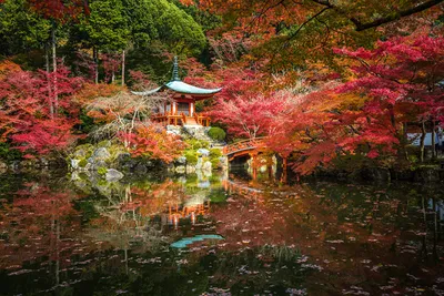 Картинки Киото Япония Осень Природа парк Пруд Пагоды деревьев