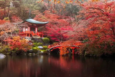 5 причин посетить Японию осенью | Gaku.ru | Дзен