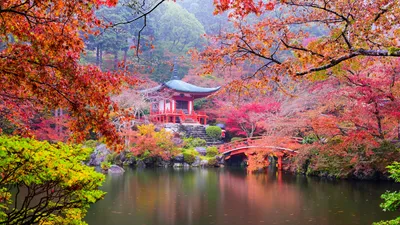 Обои Япония, Киото, парк, пагода, разноцветные листья, деревья, пруд, осень  3840x2160 UHD 4K Изображение
